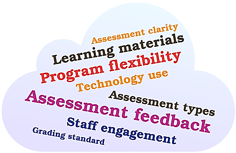 Word cloud showing the key words discovered through thematic analysis.
